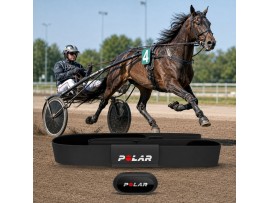POLAR Equine H10 za konje kasači in jahači