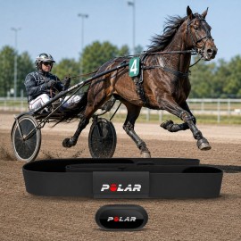 POLAR Equine H10 za konje kasači in jahači
